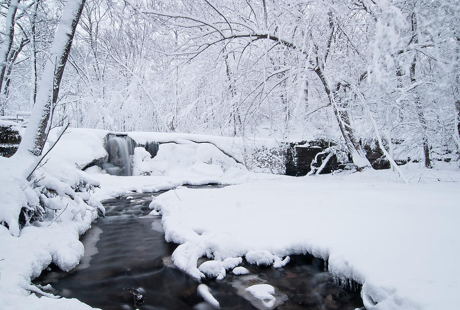 Winter Photograph - Under Winters Blanket 2 by Joe Miller