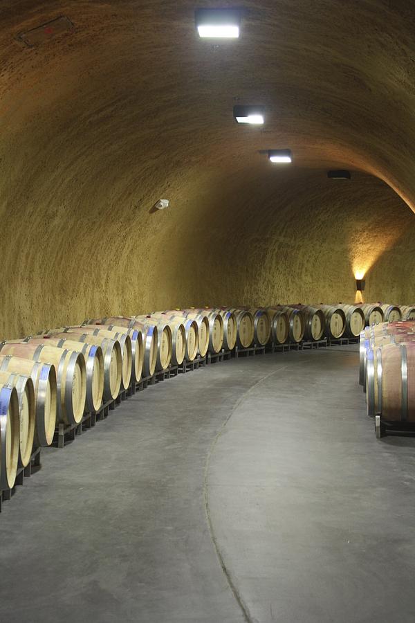 Underground at Private Winery in Napa Photograph by Diane Leone Fine