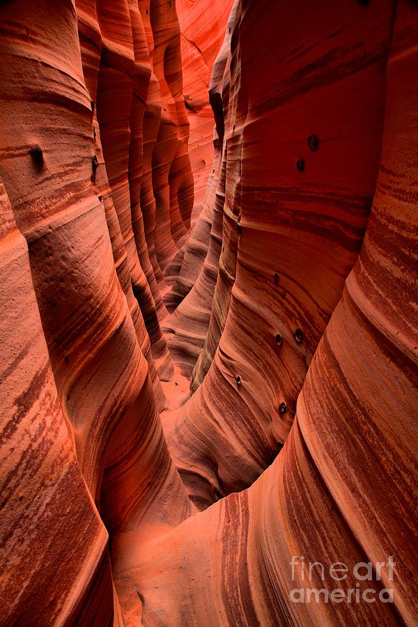 Underground Desert Spectacular Photograph by Adam Jewell