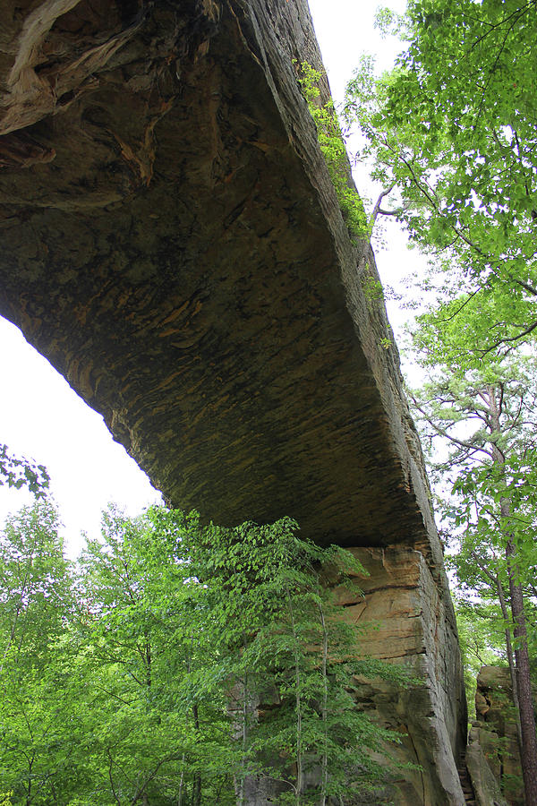 Underneath Natural Bridge in Slade Kentucky Mixed Media by Design