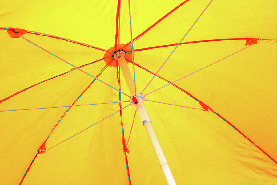 Underneath the Yellow Umbrella Photograph by Prakash Ghai