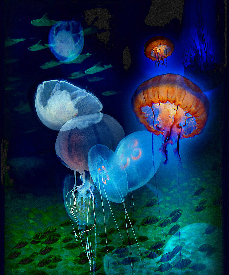 Undersea Fantasy Photograph by Linda Olsen