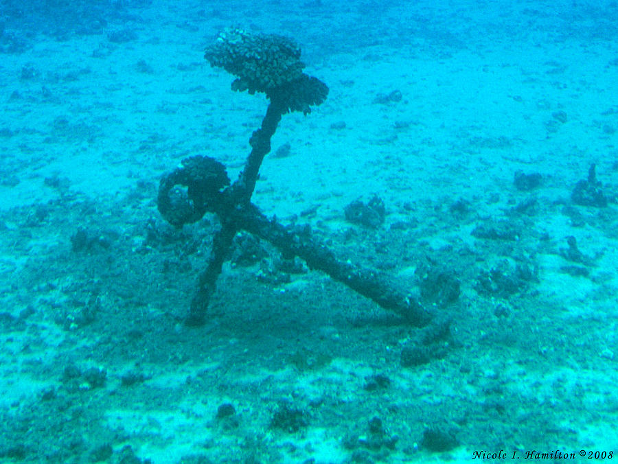 Underwater Anchor Photograph by Nicole I Hamilton