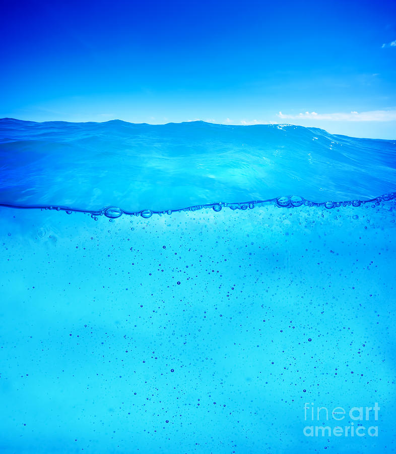 Underwater background ready for design. Clean and clear waterline Photograph by Michal Bednarek