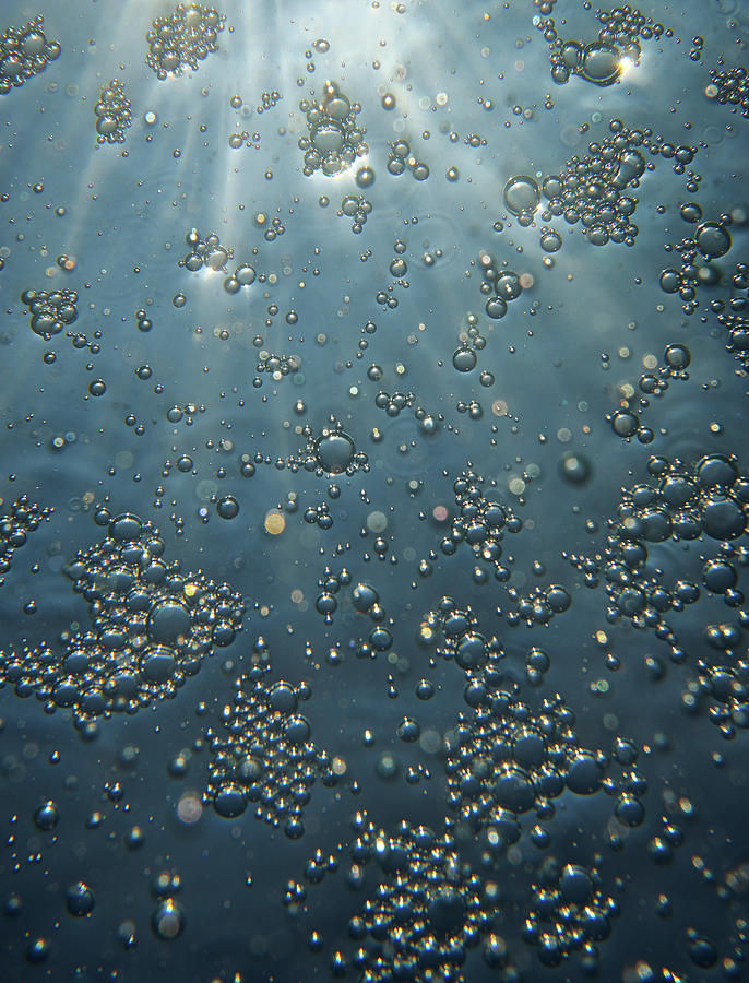 Underwater Bubbles Photograph by Christopher Johnson