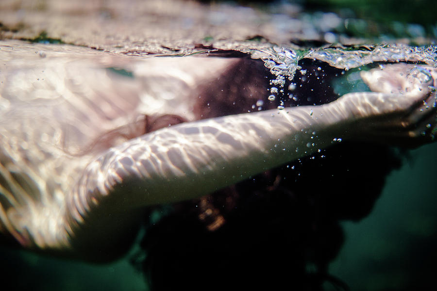 Underwater Detail Photograph by Gemma Silvestre