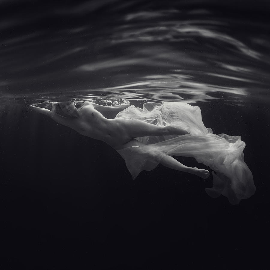 Underwater Photograph by Dmitry Laudin - Fine Art America