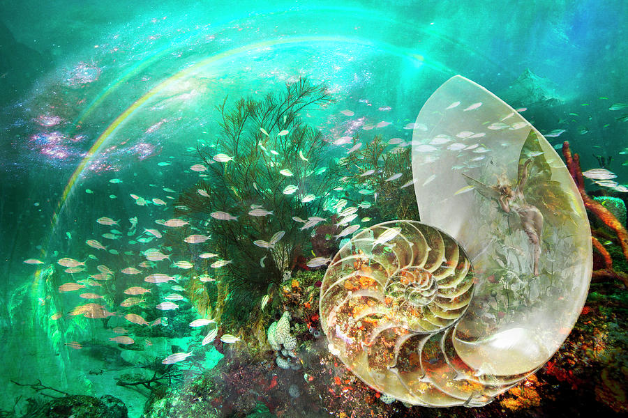 Underwater Fairyland Digital Art by Debra and Dave Vanderlaan
