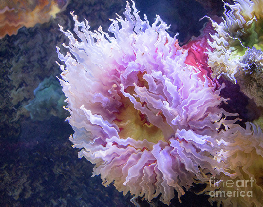 Underwater Flower Photograph by Cheryl Del Toro