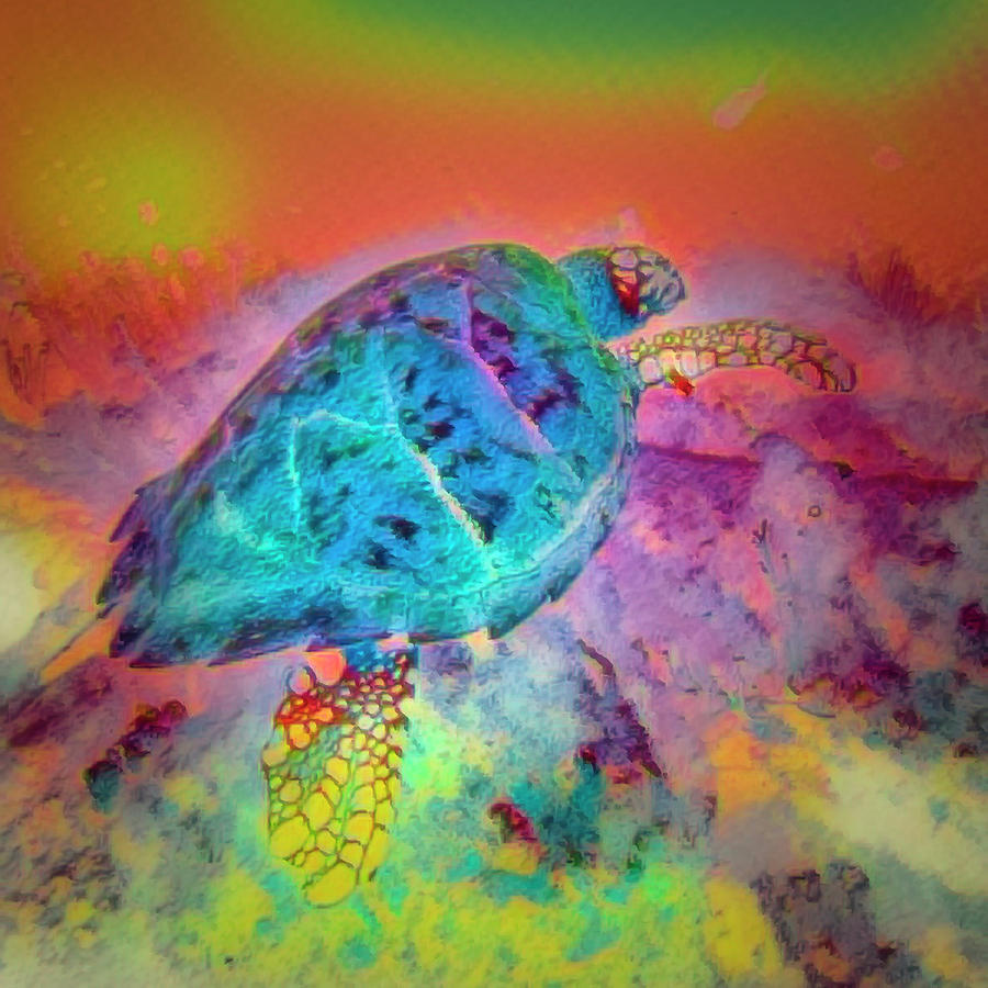 Underwater Jewel Colors Photograph by Debra and Dave Vanderlaan
