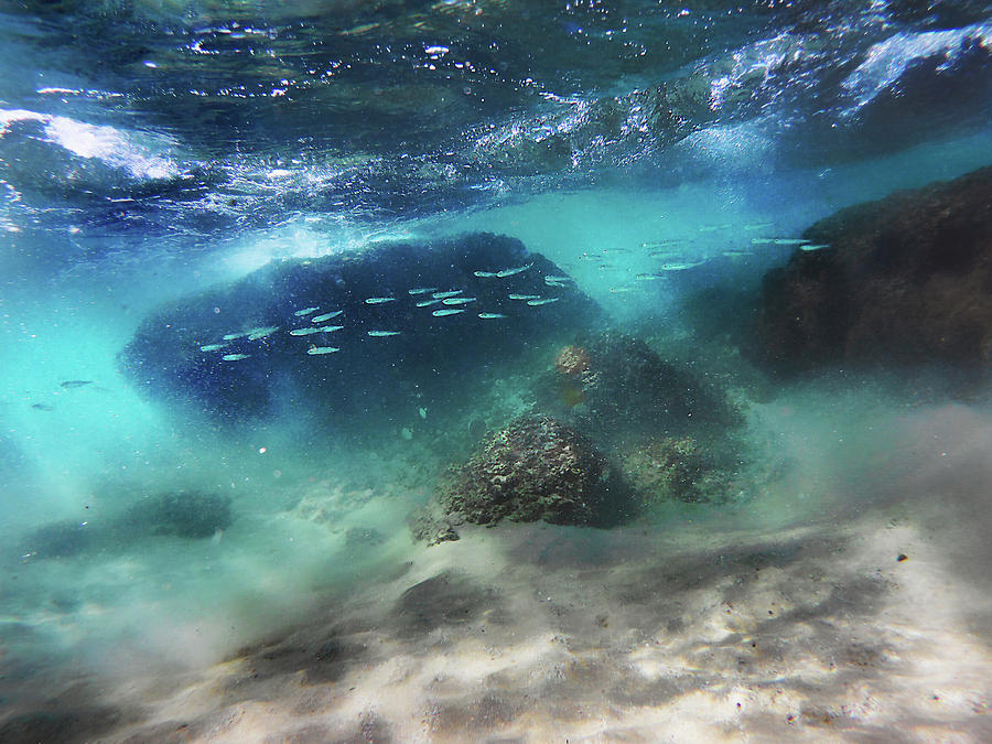 Underwater Photograph by Meir Ezrachi