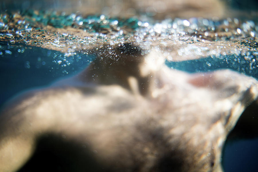 Underwater Neck Photograph by Gemma Silvestre