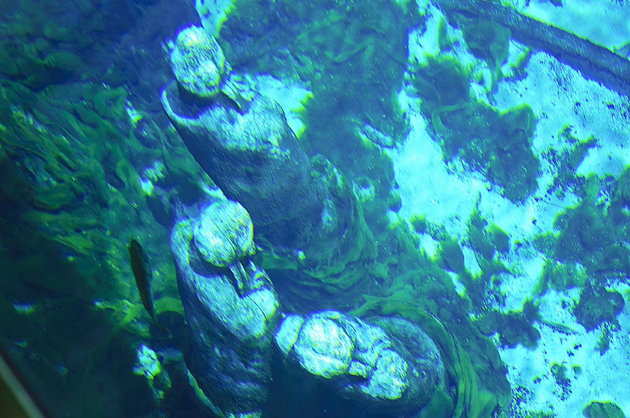 Underwater Statues Photograph by Kenneth Albin