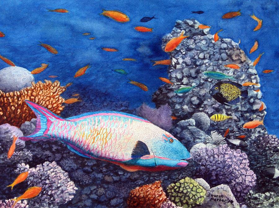 Underwater Treasures Painting by Sharon Farber - Fine Art America