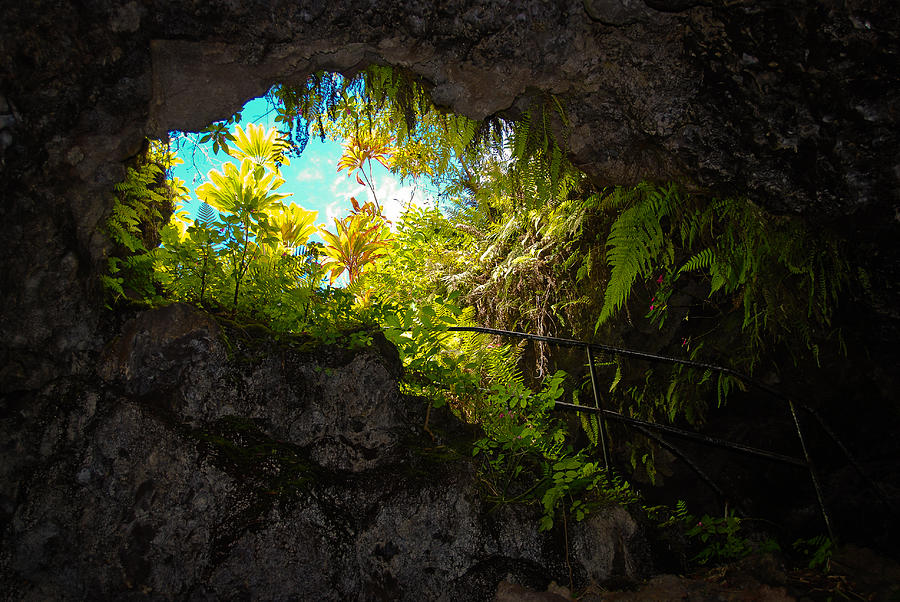 Landscape Photograph - Underworld Entrance, Big Island, Hawaii by Preston Broadfoot