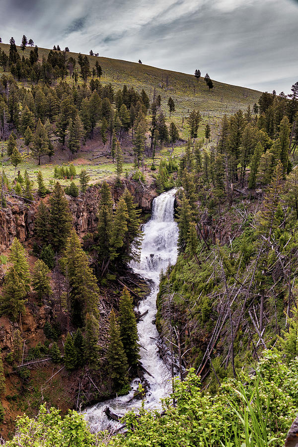 Undine Falls In Yellowstone National Park Photograph by Tony Hake