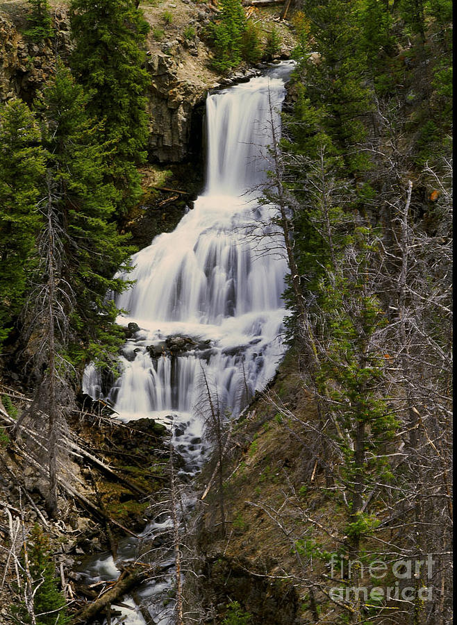 Waterfall Photograph - Undine Falls on Lava Creek by Dennis Hammer Waterfall Photograph - Undine Falls on Lava Creek by Dennis Hammer
