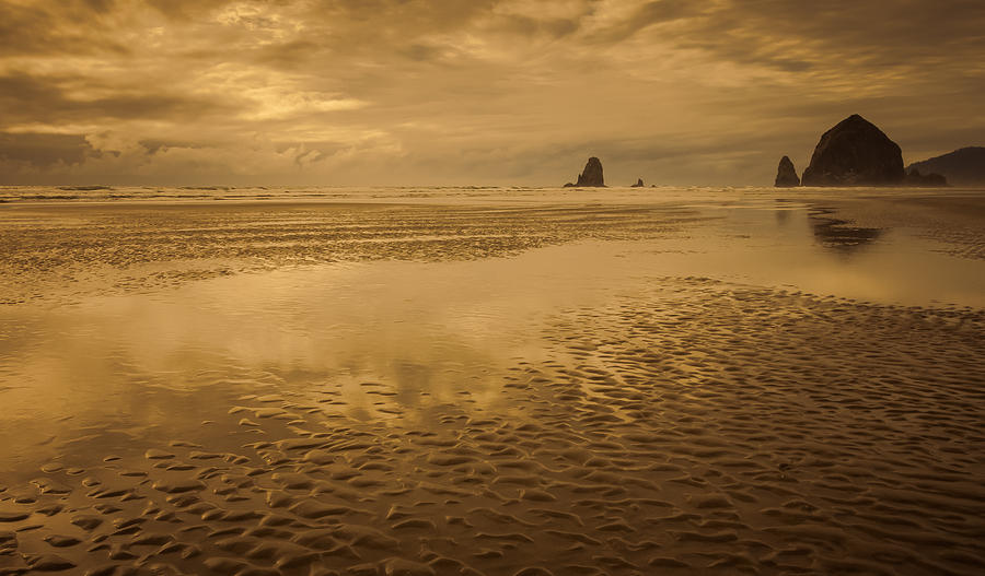Undulating Sands Photograph by Don Schwartz