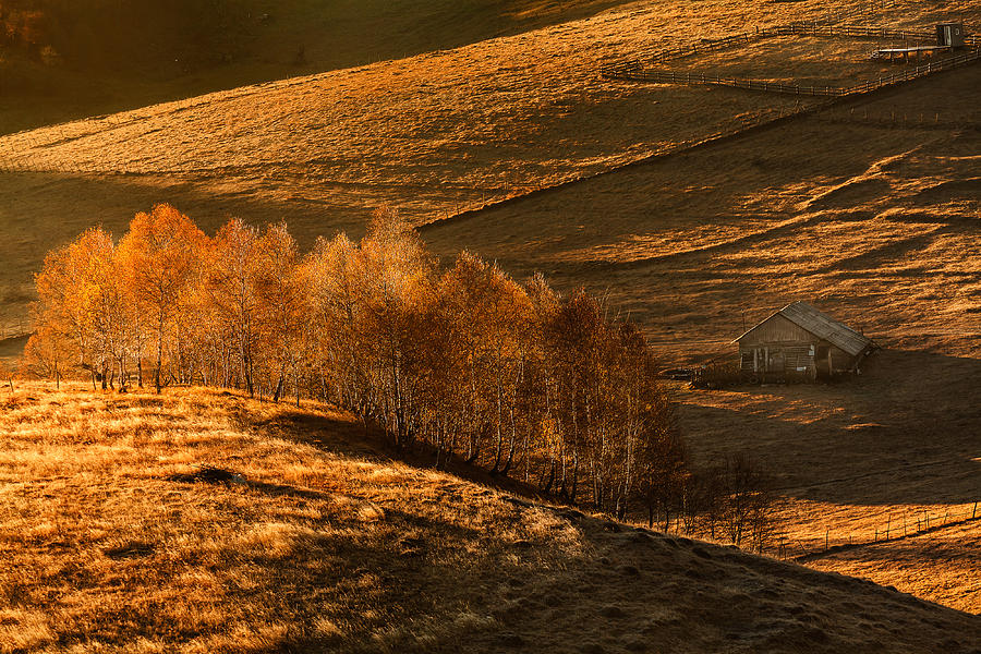 Fall Photograph - Undulations autumn by Catalin Fudulu