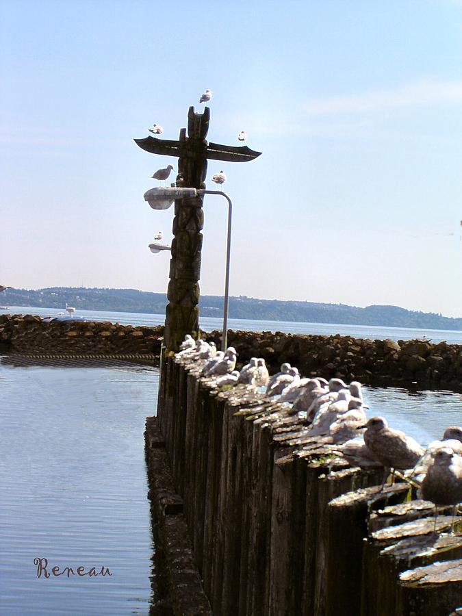 Unemployment Line For Gulls Photograph by A L Sadie Reneau