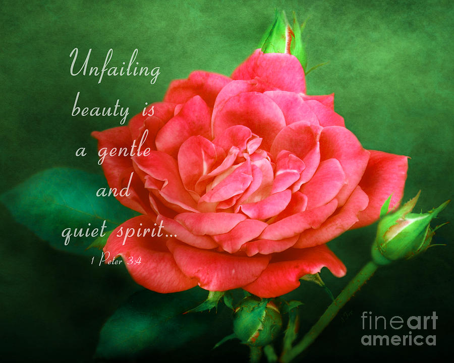 Unfailing Beauty - Verse Photograph by Anita Faye