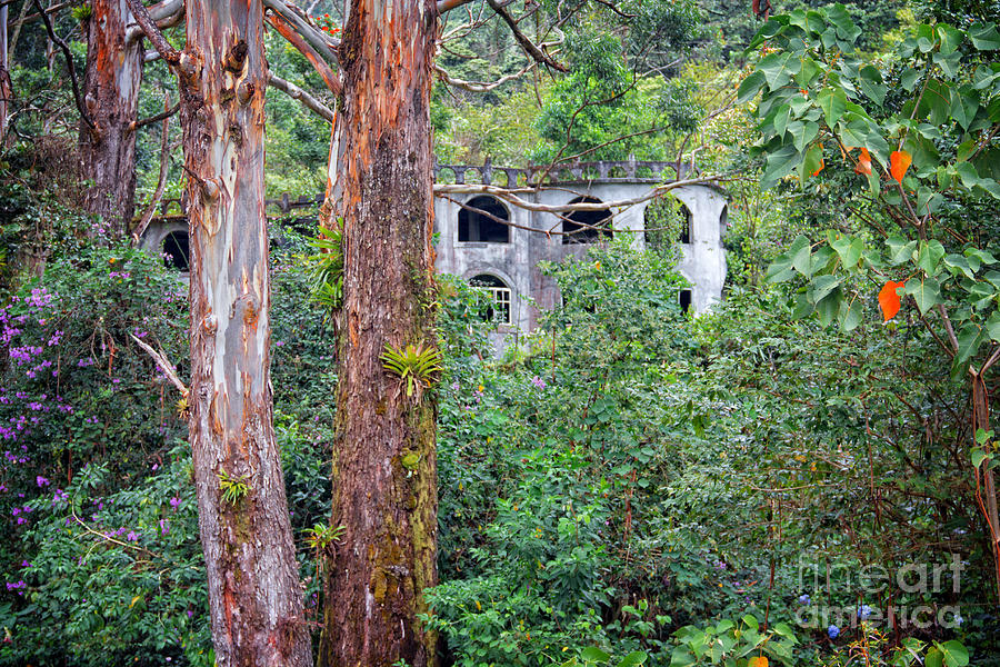 Jungle Photograph - Unfinished Dreams aka Ghost Castle by Bob Hislop