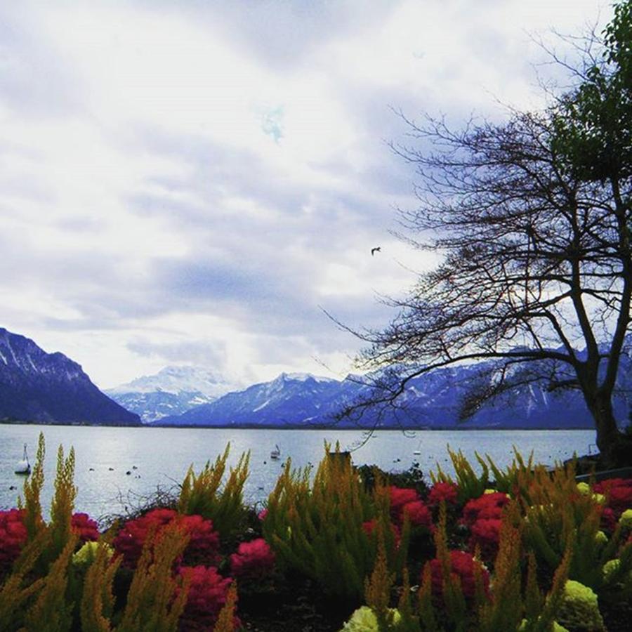 Holiday Photograph - Unforgettable Swiss Lac Leman by Eva Dobrikova