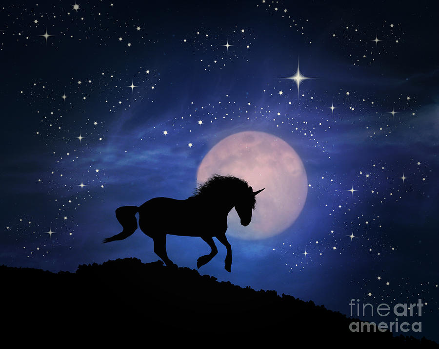 Unicorn and Moon Photograph by Stephanie Laird