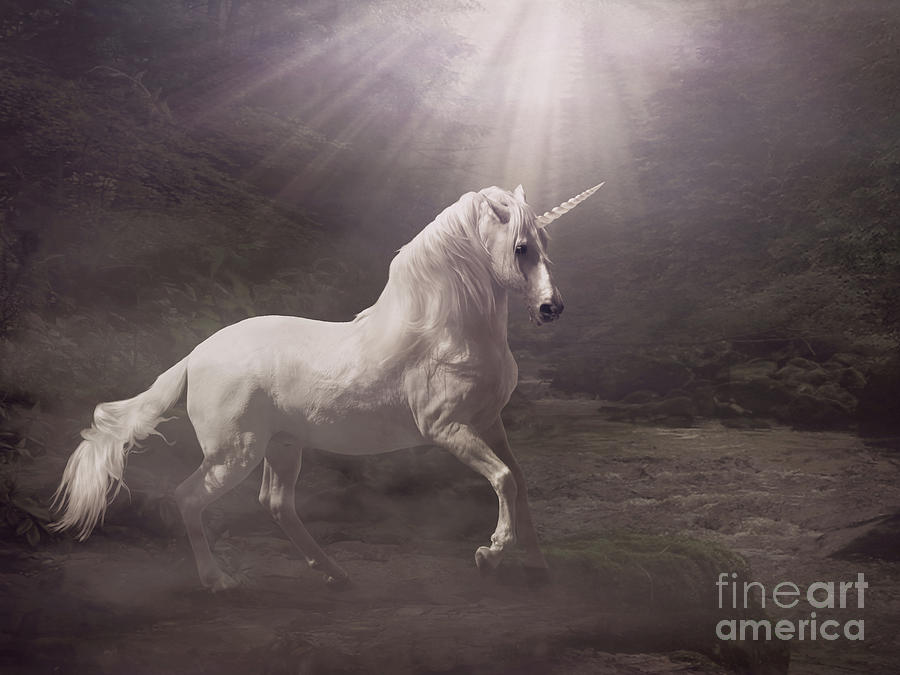 Fantasy Digital Art - Unicorn by Babette Van den Berg