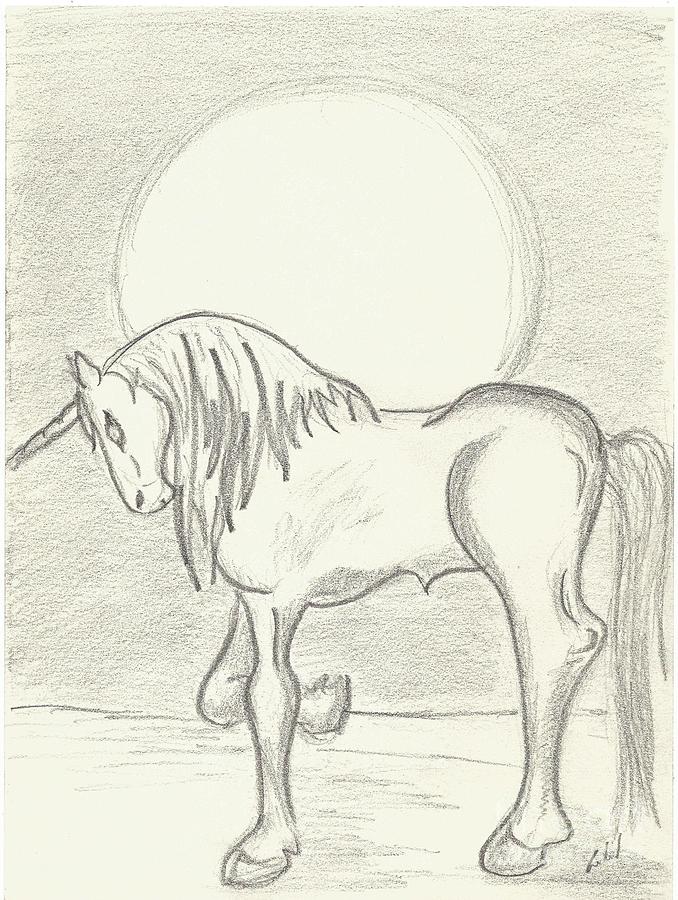 Unicorn Drawing by Gabriel Coelho Unicorn Drawing by Gabriel Coelho