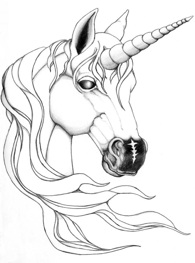 Mythical Unicorns Wall Art | Paintings, Drawings & Photograph Art Prints