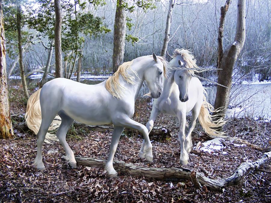 Unicorn Photograph - Unicorn Reunion by Barbara Hymer
