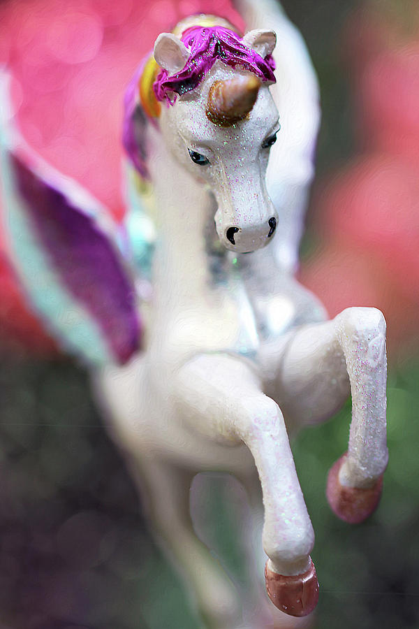 Unicorn Ride Photograph by Vanessa Thomas