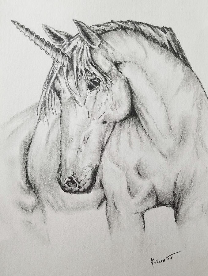 Unicorn Drawing - Unicorn by William Pullaro Jr