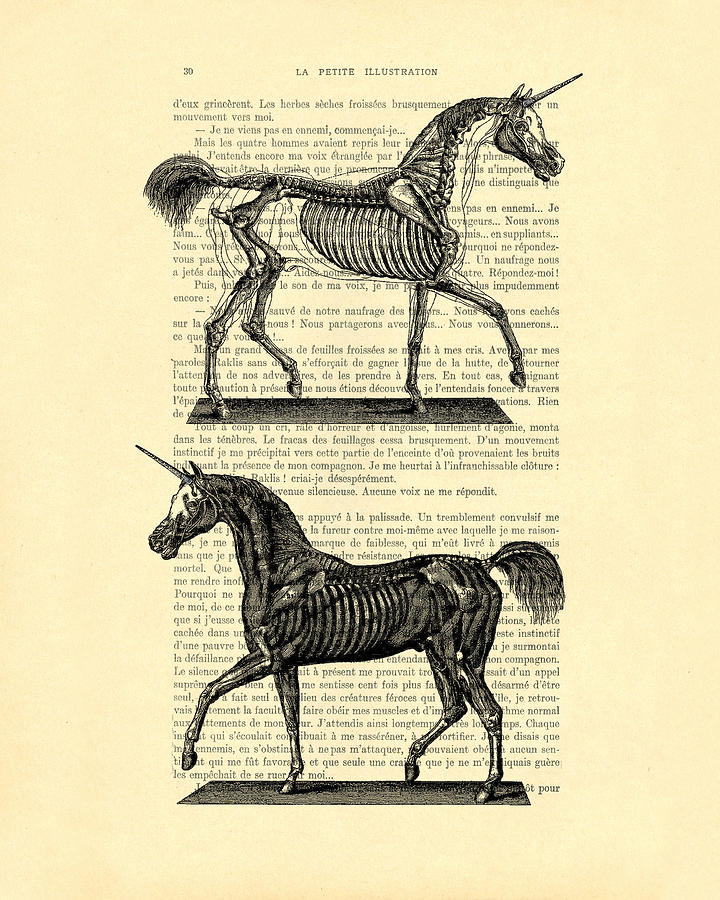 Unicorn Digital Art - Unicorns anatomy by Madame Memento