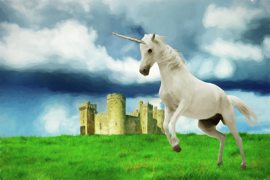 Unicorns and Castles Digital Art by John Haldane