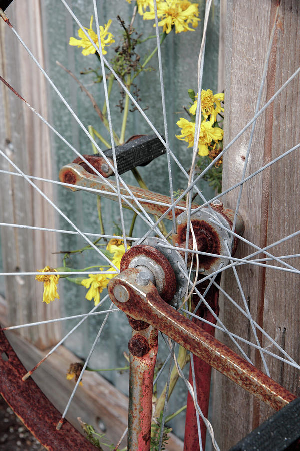 Unicycle Wheel with Flowers Photograph by William Kuta