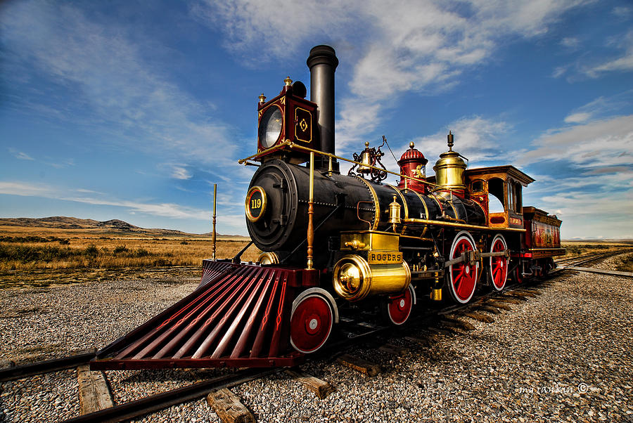 Union Pacific #119_b Photograph by Michael Rankin - Fine Art America