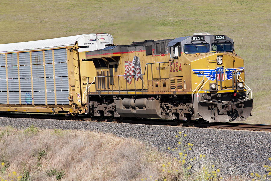 Union Pacific 5254  Photograph by Rick Pisio