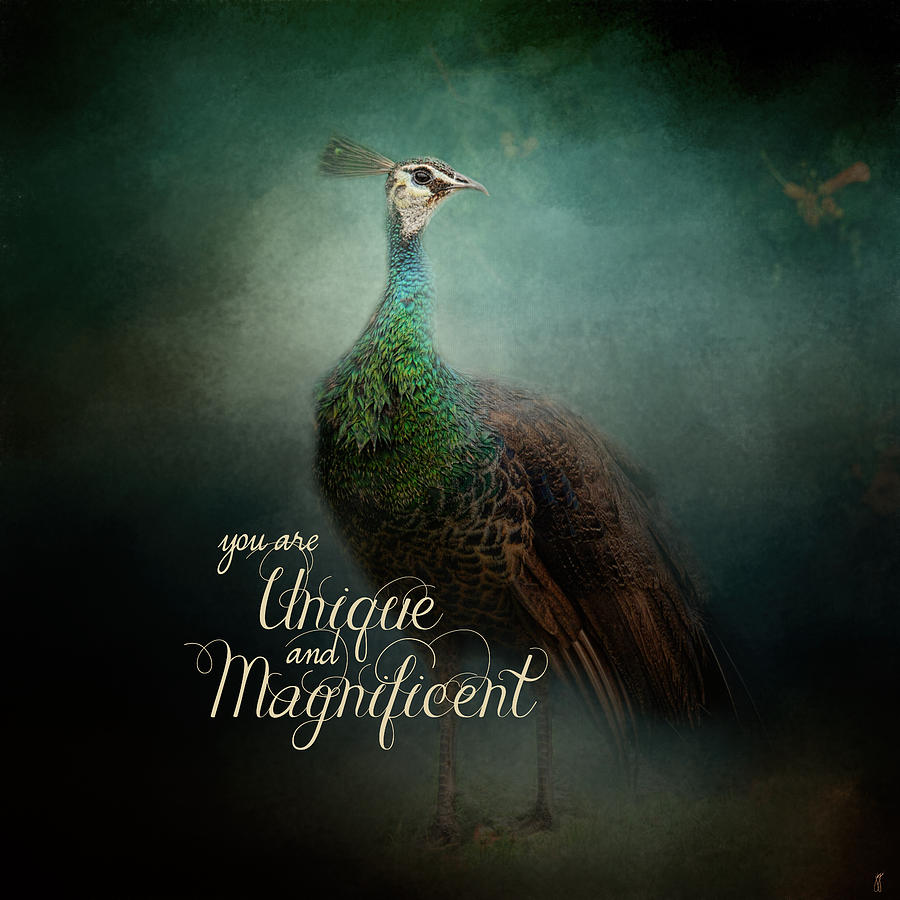 Unique and Magnificent - Peacock Art Photograph by Jai Johnson