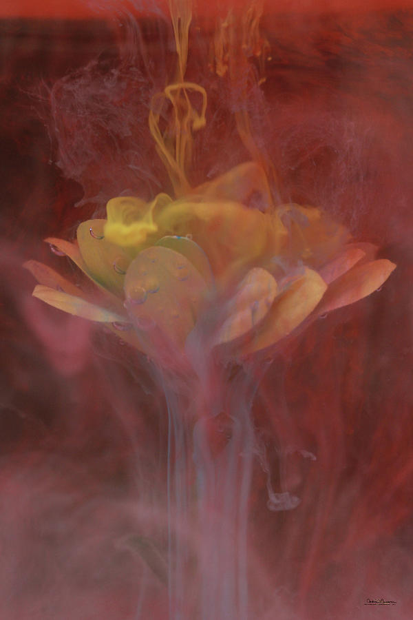 Unique Flowers 4 Digital Art by Andrea Lawrence