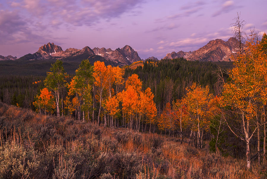 Unique image of Sawtooth mountains with autumn trees in the foreground Photograph by Vishwanath Bhat