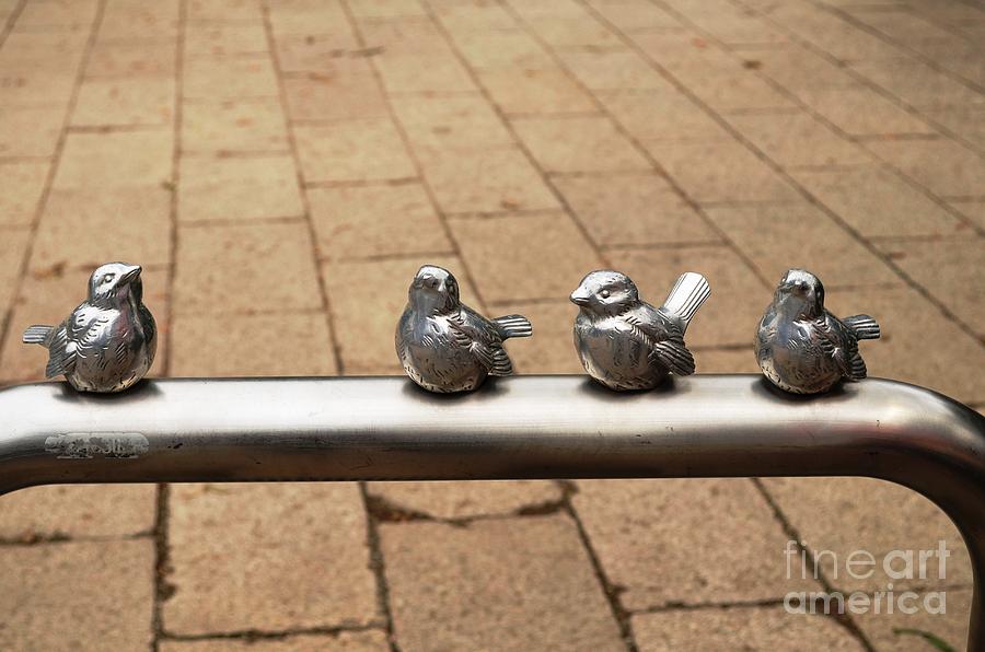 Unique metal sculpture Osaka Palace garden birds travel diary Photograph by Manjiri Kanvinde