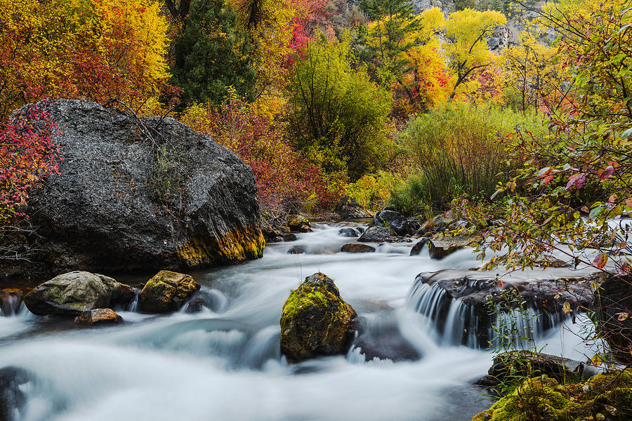 Unique Palisades Creek Autumn Glory in Idaho Photograph by Vishwanath Bhat