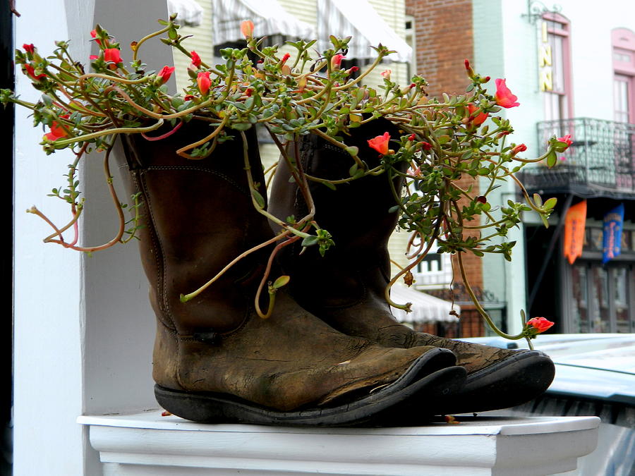 Unique Planter Photograph by Arlane Crump - Fine Art America