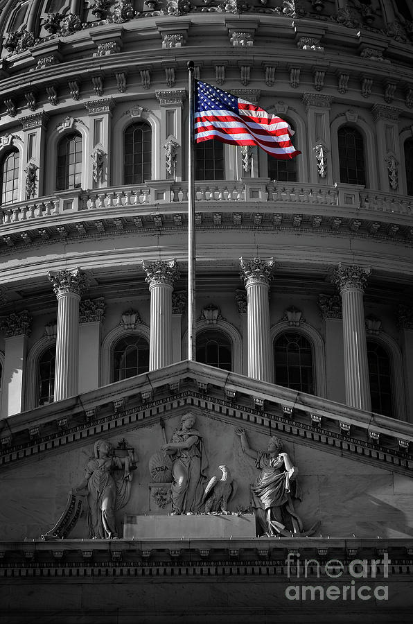 United States Capitol Building in Washington DC Photograph by Lane Erickson