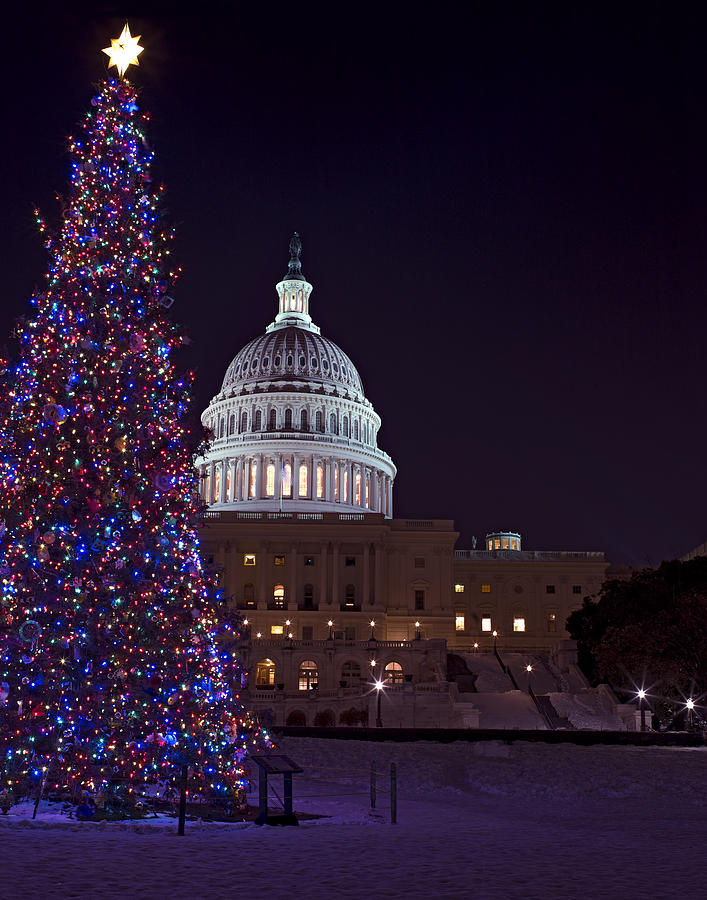 United States Capitol Christmas Tree Photograph by Brendan Reals