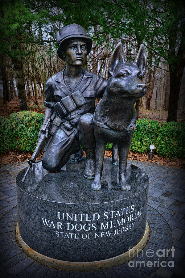 Dog Photograph - United States War Dog Memorial by Paul Ward