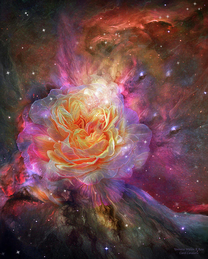 Universe Within A Rose Mixed Media by Carol Cavalaris