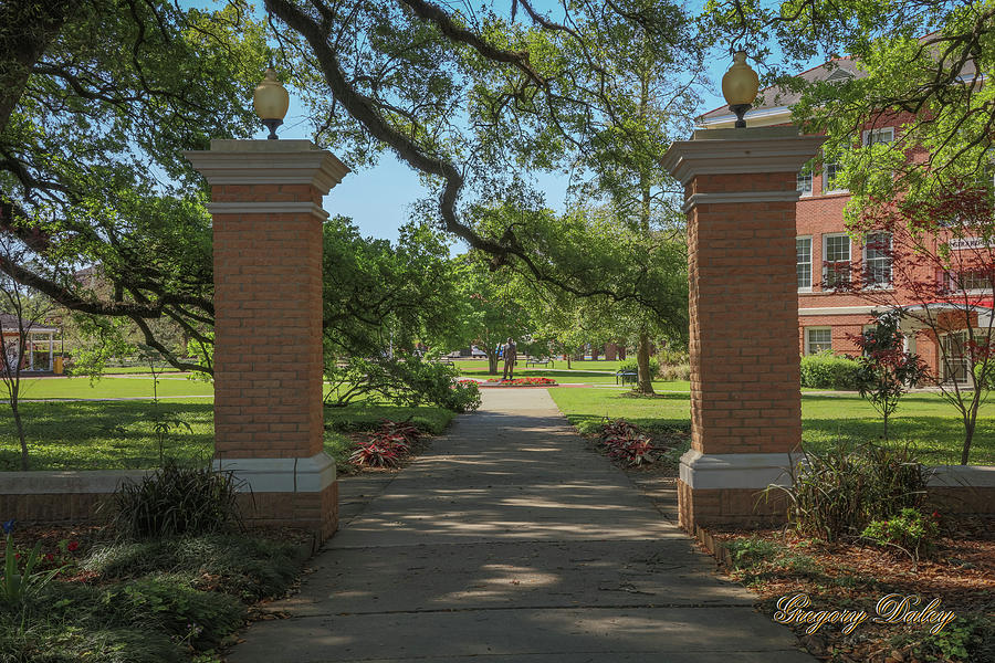 University and Johnston Entrance Photograph by Gregory Daley  MPSA